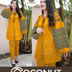 Heavy Sleeves Embroidery 2pcs Suit